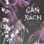 Gấm Rách